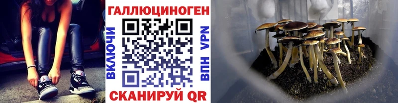 продажа наркотиков Дюртюли Галлюциногенные грибы Magic Shrooms
