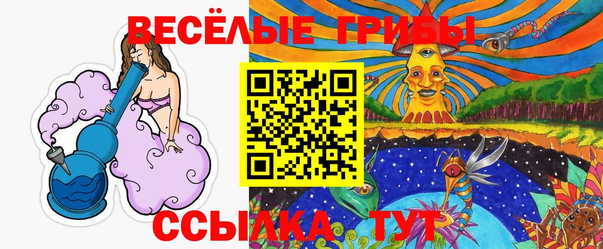 Галлюциногенные грибы Psilocybine cubensis Дюртюли