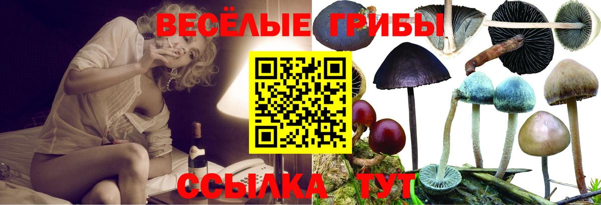 Галлюциногенные грибы Cubensis  Вход с VPN  где купить наркоту  Дюртюли 